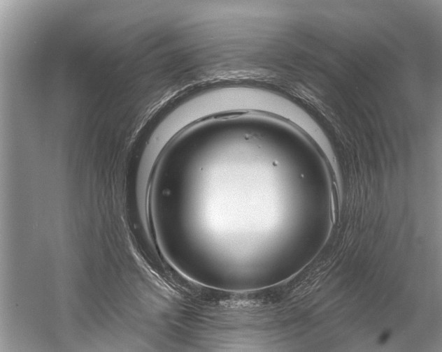 X0000060580448200511171702