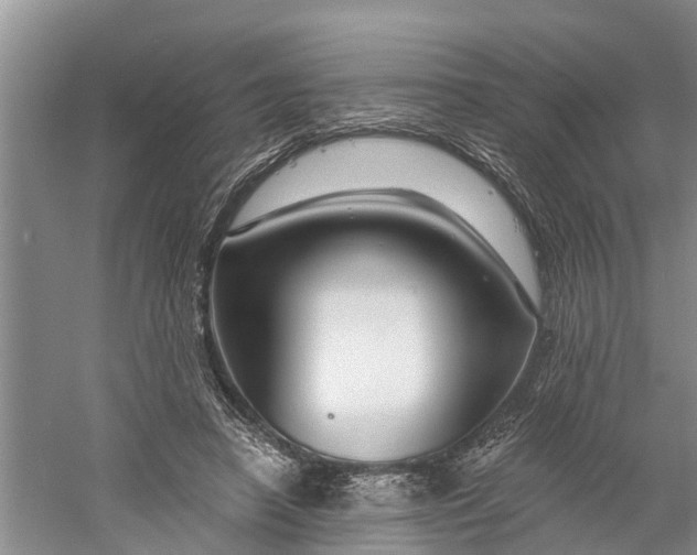 X0000060580450200511171702