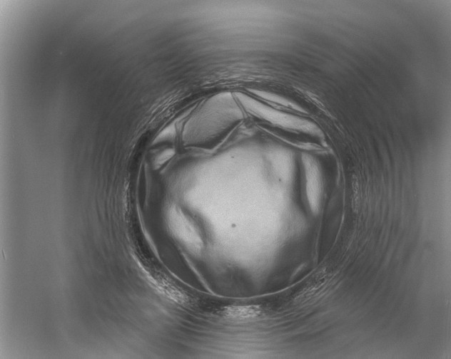 X0000060580451200511171702