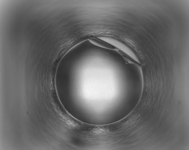 X0000060580453200511171702