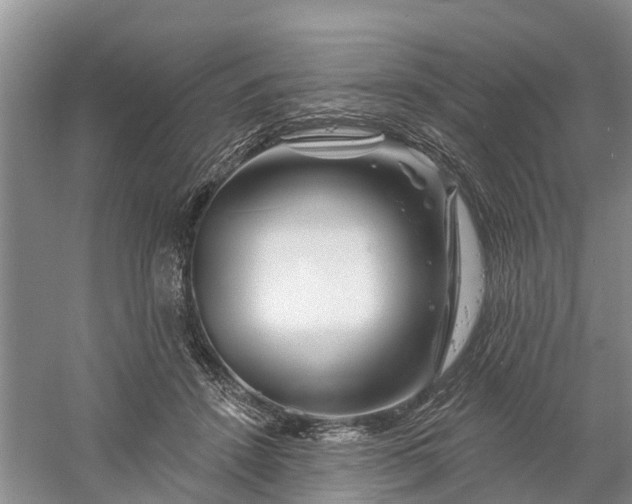 X0000060580456200511171702