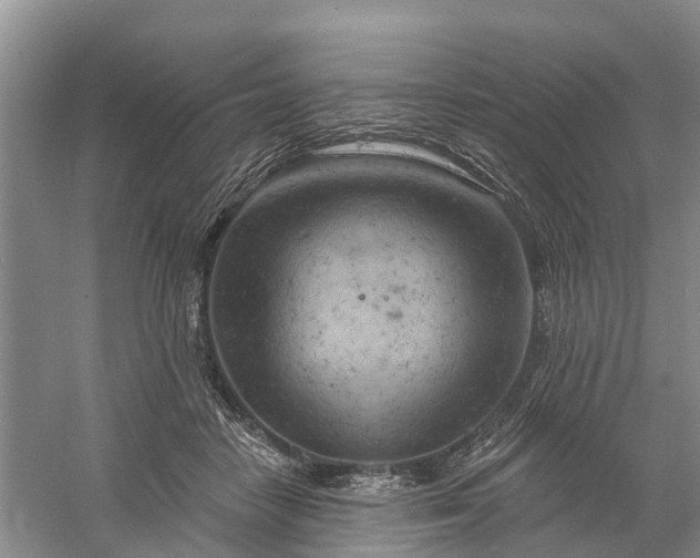 X0000060580458200511171702