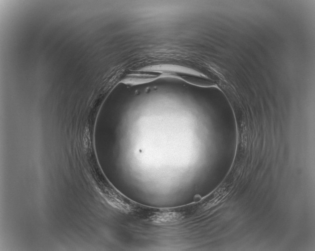 X0000060580459200511171702