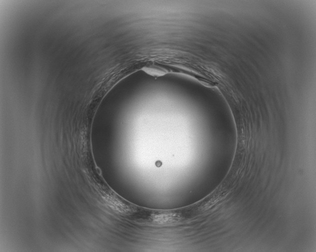 X0000060580461200511171702