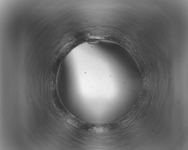 X0000060580464200511171702