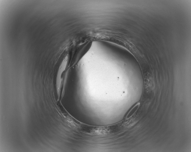 X0000060580466200511171702