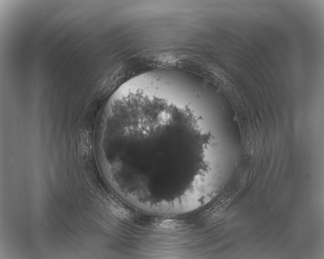 X0000060580467200511171702