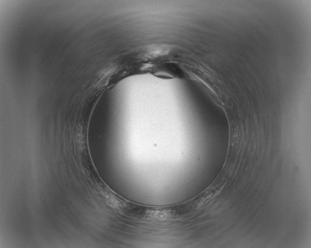 X0000060580469200511171702