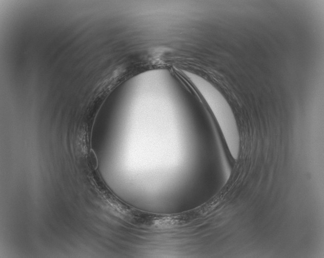 X0000060580470200511171702