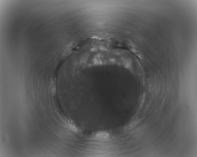 X0000060580471200511171702