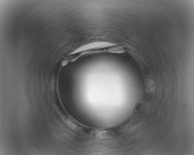 X0000060580472200511171702