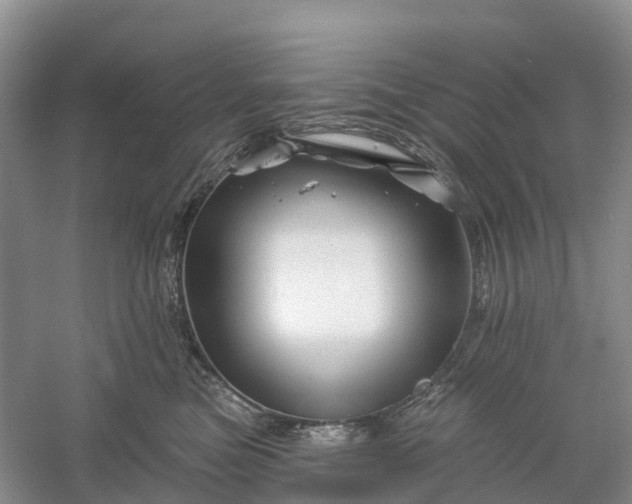 X0000060580473200511171702