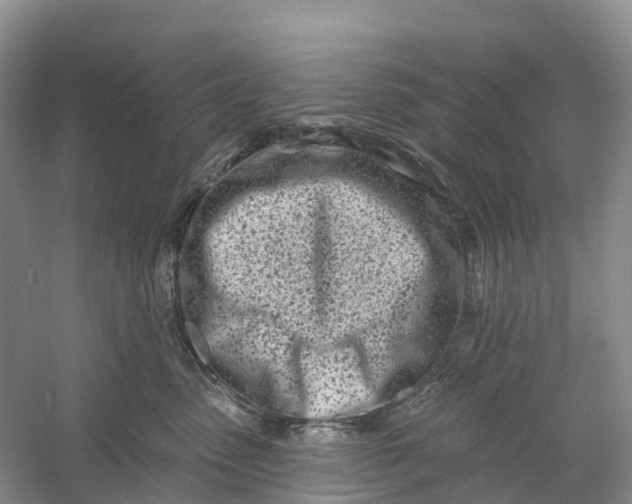 X0000060580475200511171702