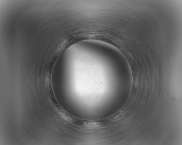 X0000060580476200511171702