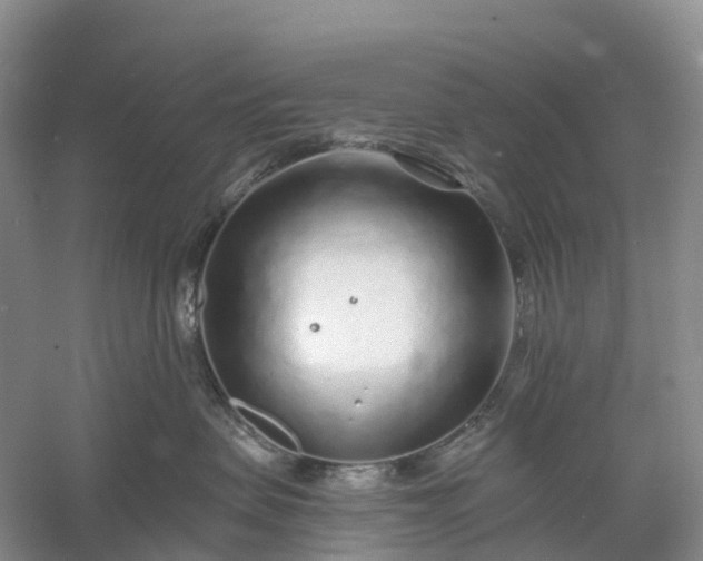 X0000060580479200511171702