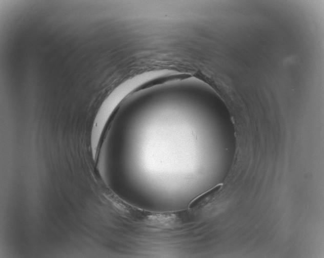 X0000060580480200511171702