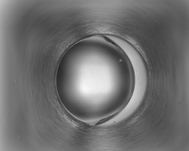 X0000060580481200511171701