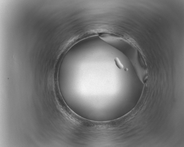 X0000060580482200511171701