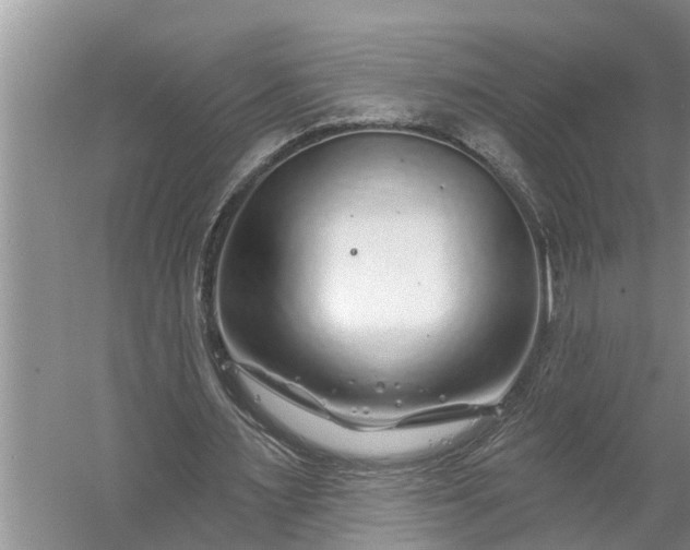 X0000060580483200511171701