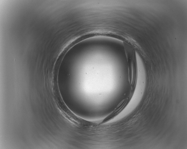 X0000060580484200511171701