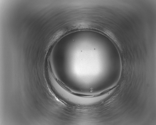 X0000060580485200511171701