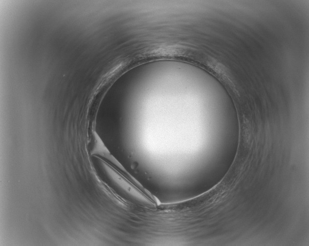 X0000060580486200511171701