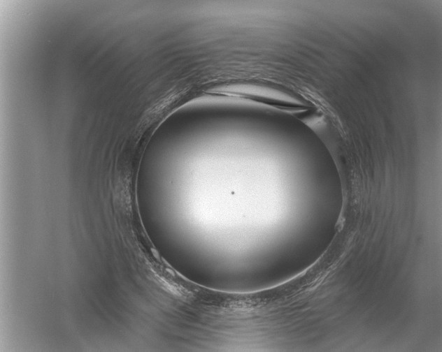 X0000060580489200511171701