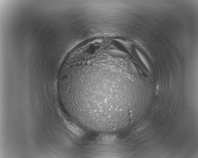 X0000060580491200511171701