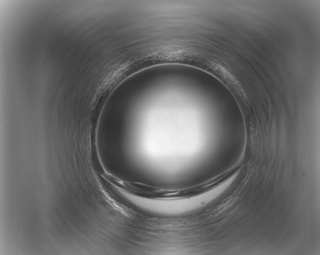 X0000060580493200511171701