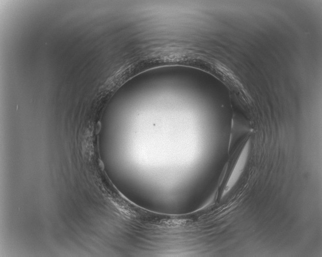 X0000060580497200511171701