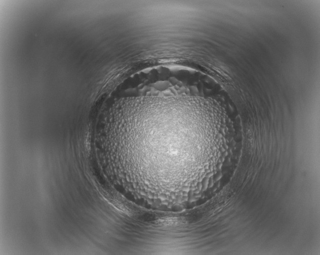 X0000060580499200511171701