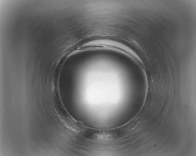 X0000060580500200511171701