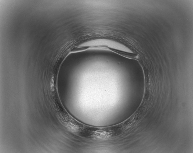 X0000060580502200511171701