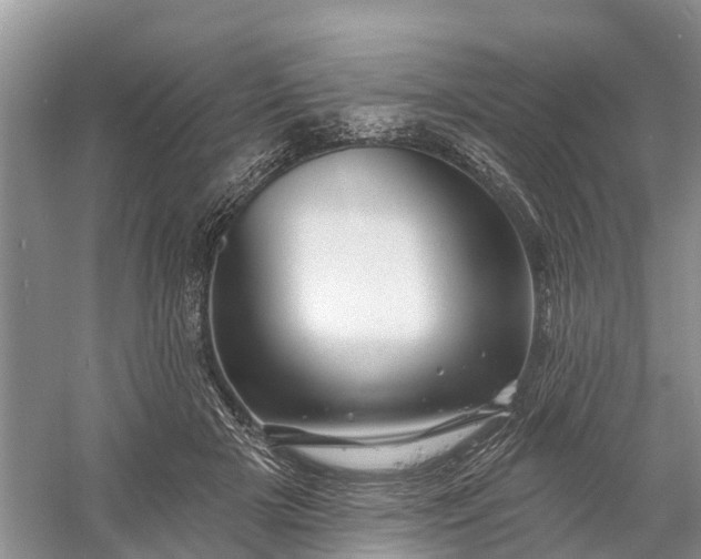 X0000060580505200511171701