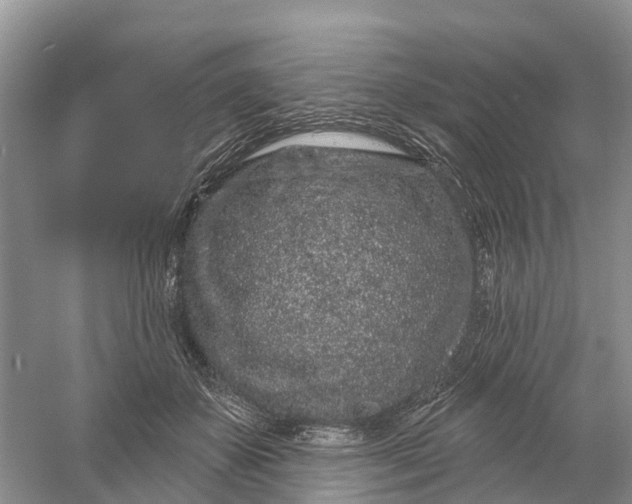 X0000060580507200511171701