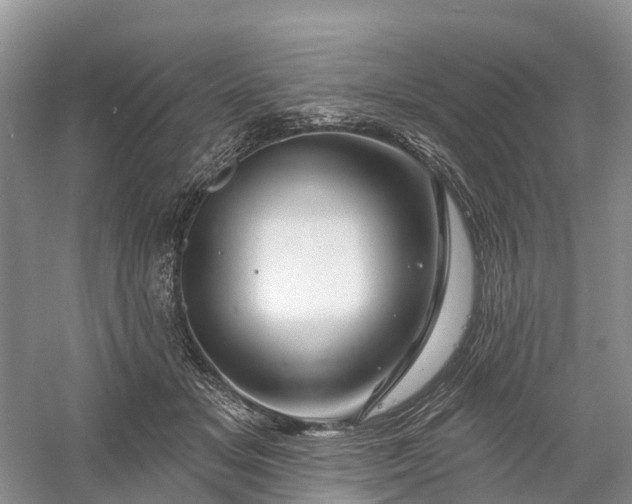 X0000060580509200511171701