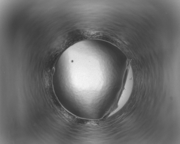 X0000060580515200511171701