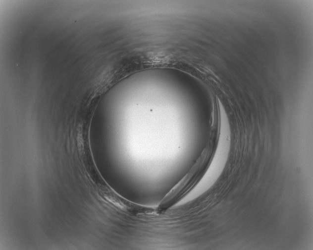 X0000060580516200511171701