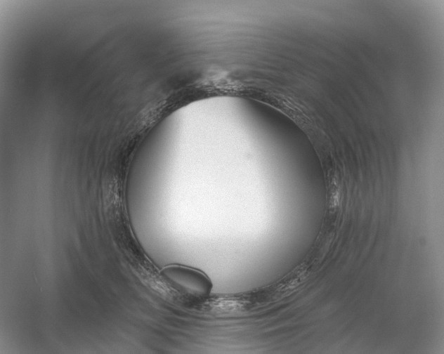 X0000060580518200511171701