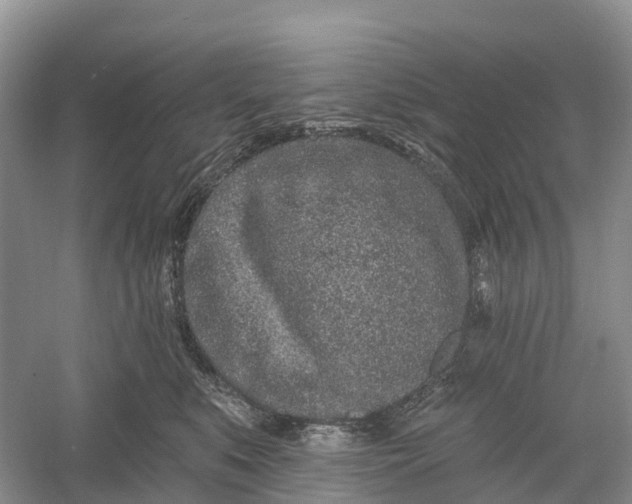 X0000060580519200511171701