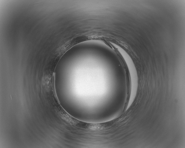 X0000060580521200511171701