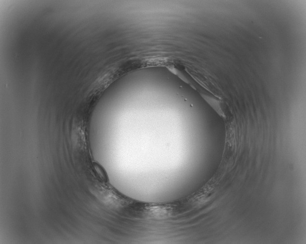 X0000060580522200511171701