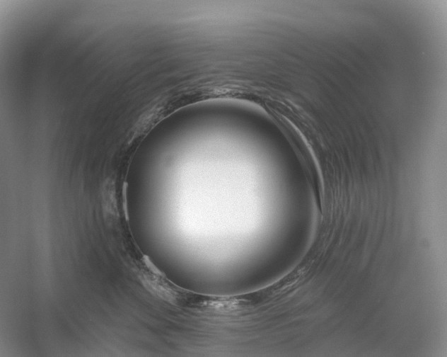 X0000060580524200511171701