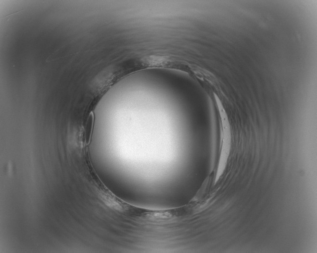 X0000060580525200511171701