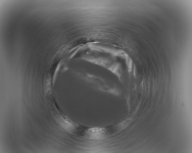 X0000060580526200511171700