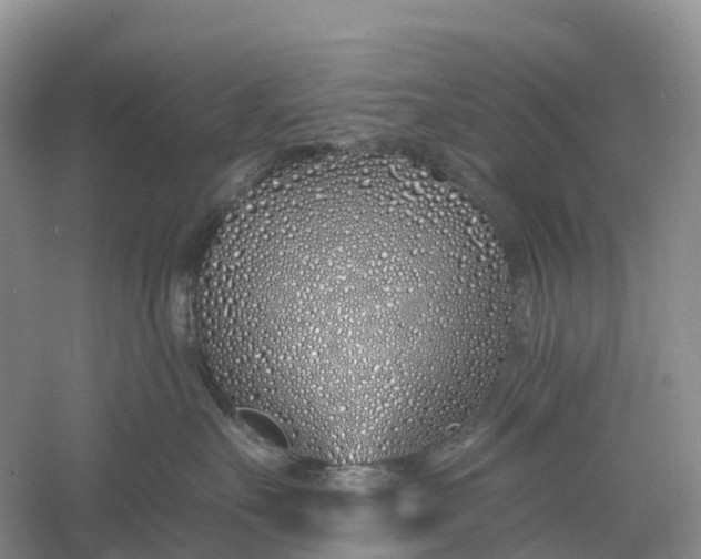 X0000060580527200511171700