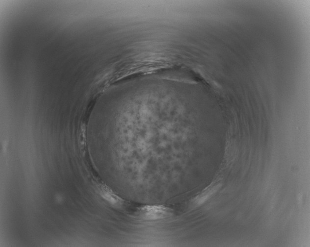 X0000060580528200511171700