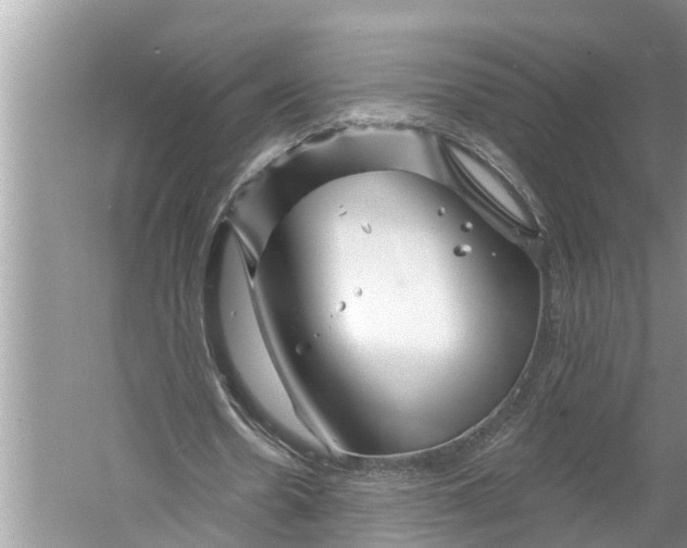 X0000060580530200511171700