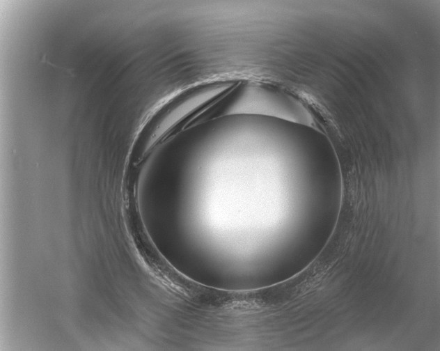 X0000060580536200511171700