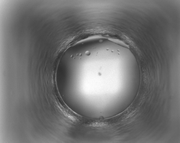 X0000060580537200511171700